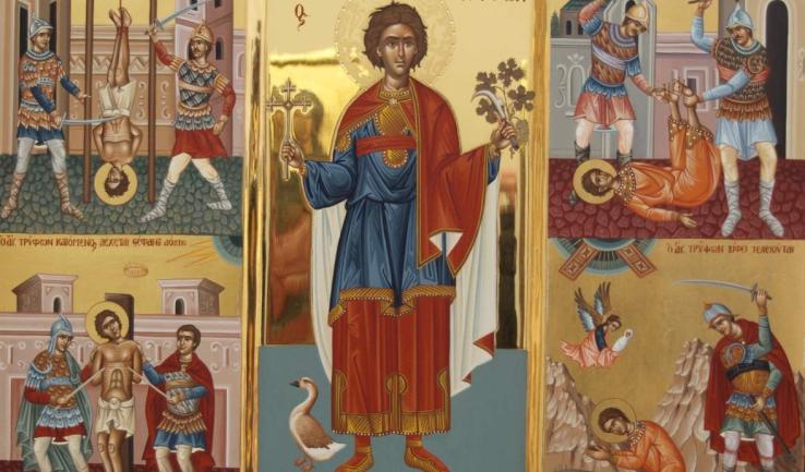 Πανήγυρις Αγίου Τρύφωνος Καματερού